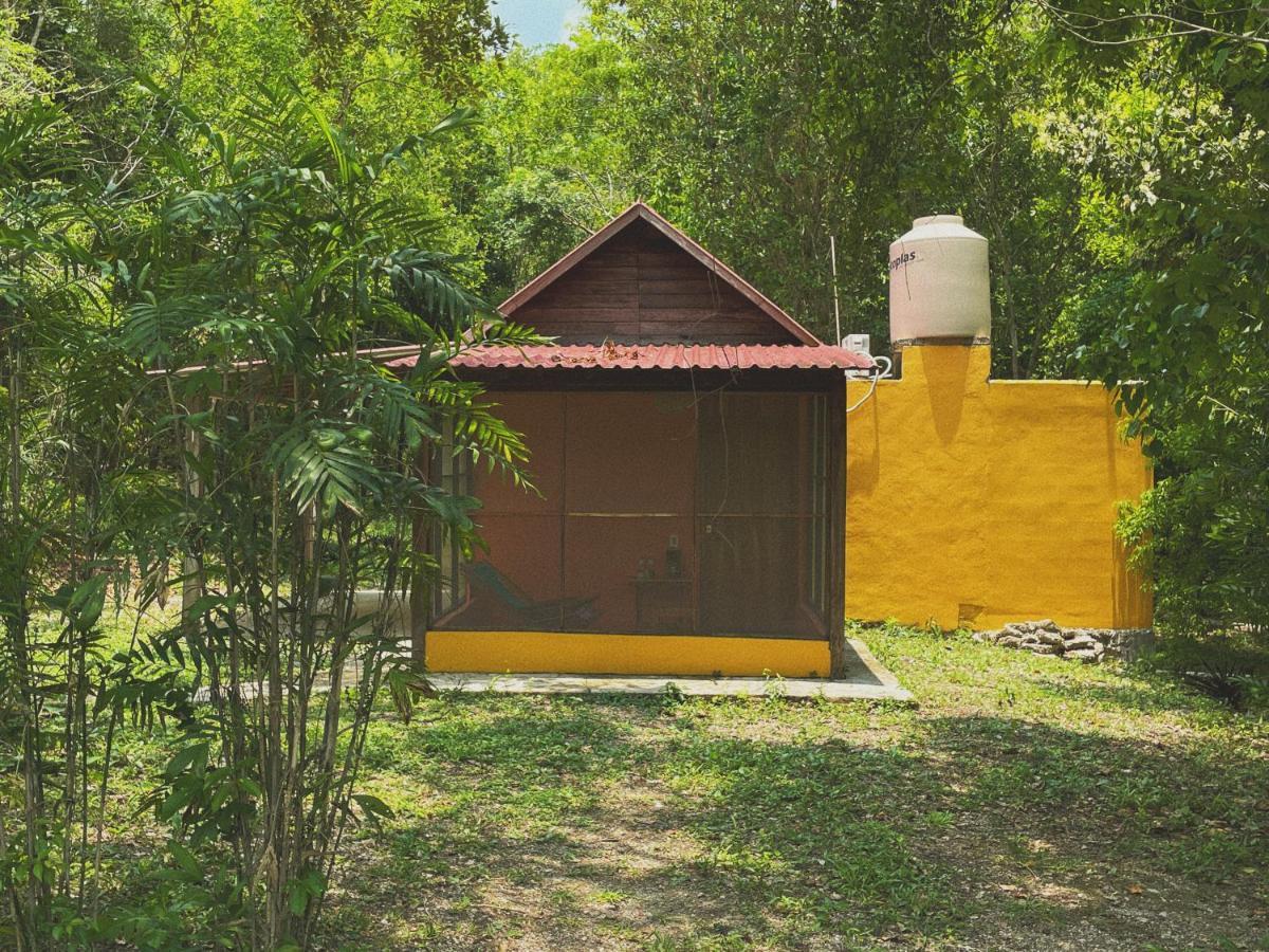 Ecohabitat Panzió Xpujil Kültér fotó