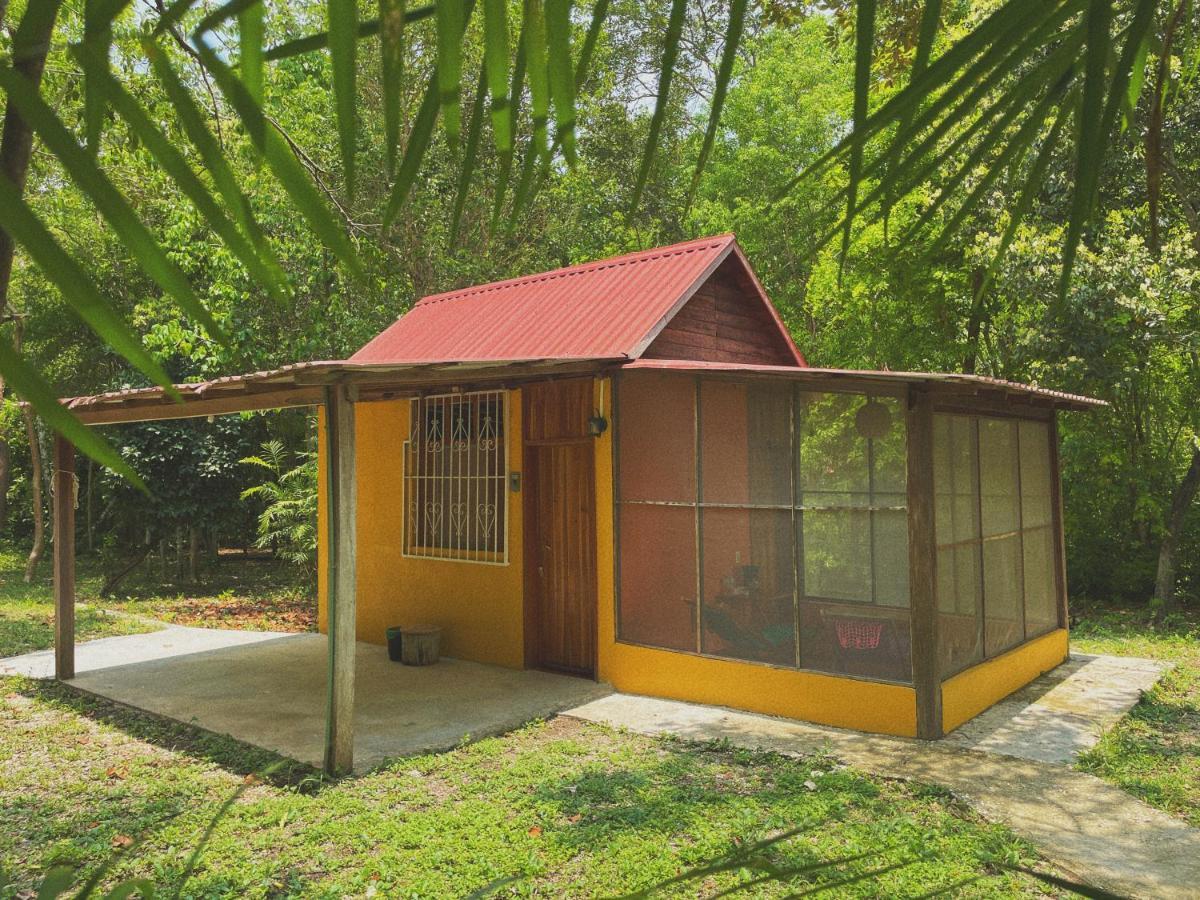 Ecohabitat Panzió Xpujil Kültér fotó